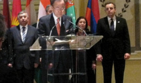 Reception in the UN