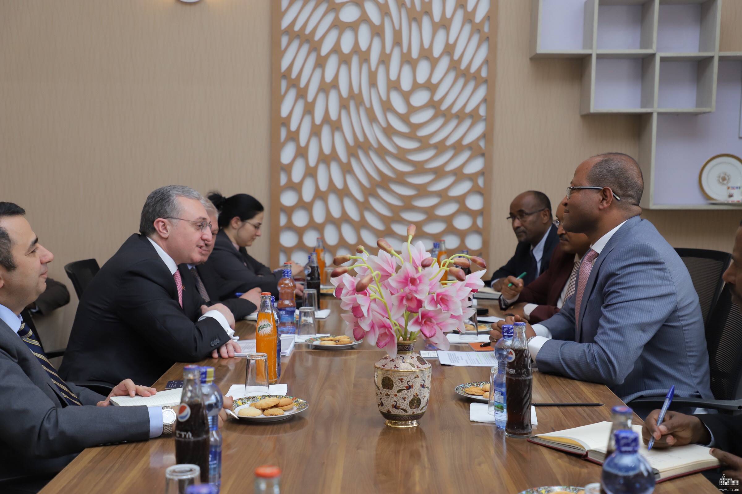 Meeting of Foreign Minister of Armenia and the Speaker of Ethiopian