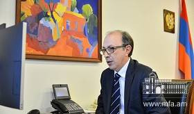 Տեսազրույց Հայաստանի և Շվեդիայի արտաքին գործերի նախարարների միջև