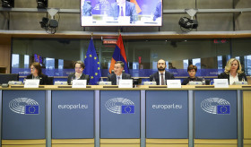 ՀՀ ԱԳ նախարար Արարատ Միրզոյանի ելույթը Եվրոպական խորհրդարանի արտաքին հարցերով կոմիտեում