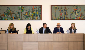 ՀՀ ԱԳ նախարարի տեղակալի հանդիպումը արգենտինացի լրագրողների հետ