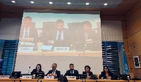 Հայաստանի Հանրապետության զեկույցի դիտարկումը ՄԱԿ-ի Ռասայական խտրականության վերացման կոմիտեի 114-րդ նստաշրջանի ընթացքում