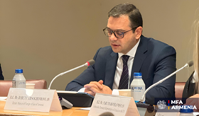 The Deputy Foreign Minister of Armenia participated in the side event on advancing gender equality and biodiversity action