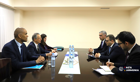 ՀՀ ԱԳ նախարարի տեղակալի հանդիպումը Եվրոպայի խորհրդի Ծրագրերի համակարգման տնօրենի հետ