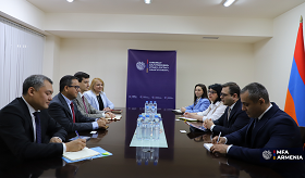 Meeting of the Deputy Foreign Minister of Armenia with the Under Secretary General of the IFRC