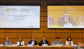 The Deputy Foreign Minister of Armenia participated in the high-level briefing at the UN Office at Vienna dedicated to the COP17 on Biological Diversity