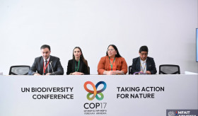 ԱԳՄԱ նախարարի տեղակալի մասնակցությունը COP17-ի ՀՀ նախագահության հովանու ներքո անցկացվող միջոցառմանը