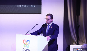 ԱԳՄԱ նախարարի տեղակալը մասնակցել է ԵԱՀԿ կողմից կազմակերպված Հայաստանի և Վրաստանի միջև անդրսահմանային համագործակցության վերաբերյալ միջոցառմանը