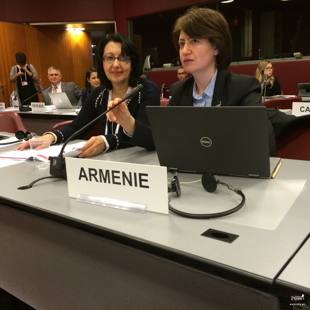 Հայաստանի ներկայացուցիչը ելույթ ունեցավ Կարմիր խաչի և Կարմիր մահիկի 32-րդ միջազգային համաժողովին