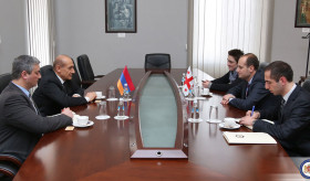 Դեսպան Վարդանյանի հանդիպումը Վրաստանի ԱԳ նախարար Միխաիլ Ջանելիձեի հետ