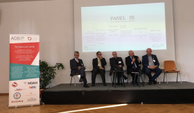 «Գերմանալեզու շրջանակներում երիտասարդ մասնագետների հաջողությունների հնարավորությունները» խորագրով սիմպոզիում Մայնի Ֆրանկֆուրտում