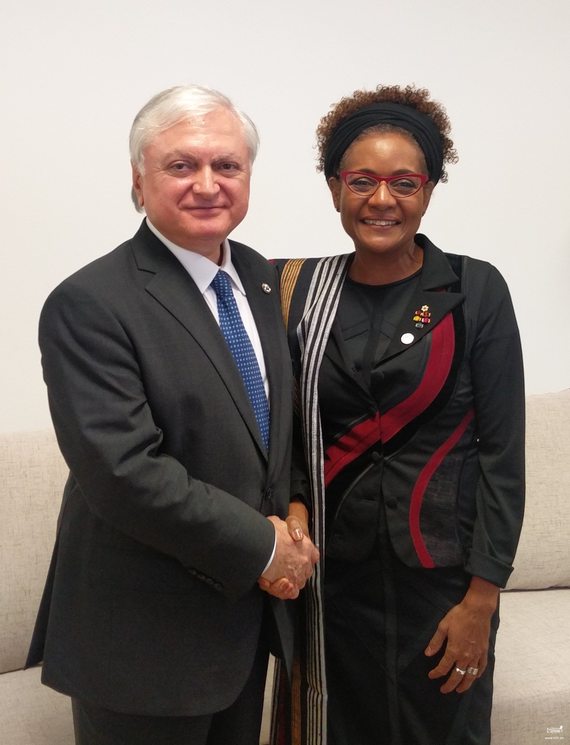 Meeting of Foreign Minister of Armenia and Secretary-General of the International Organisation of La Francophonie