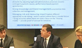 Armenia Highlighted in a panel on Sustainable Development Goals at the United Nations