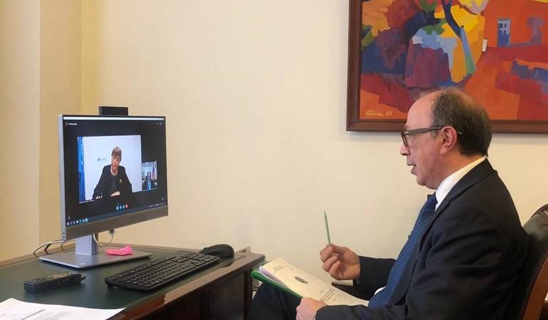 Video conversation of the Foreign Minister of Armenia Ara Aivazian with Michelle Bachelet, the UN High Commissioner for Human Rights