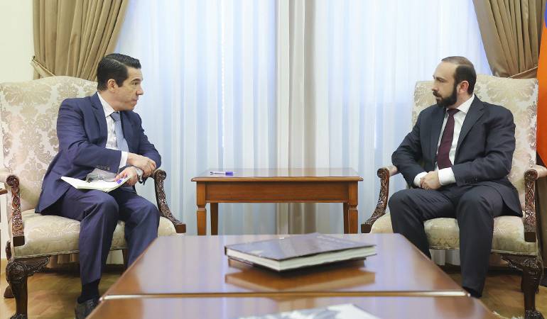 The meeting of the Minister of Foreign Affairs of the Republic of Armenia with the Extraordinary and Plenipotentiary Ambassador of Brazil to the Republic of Armenia