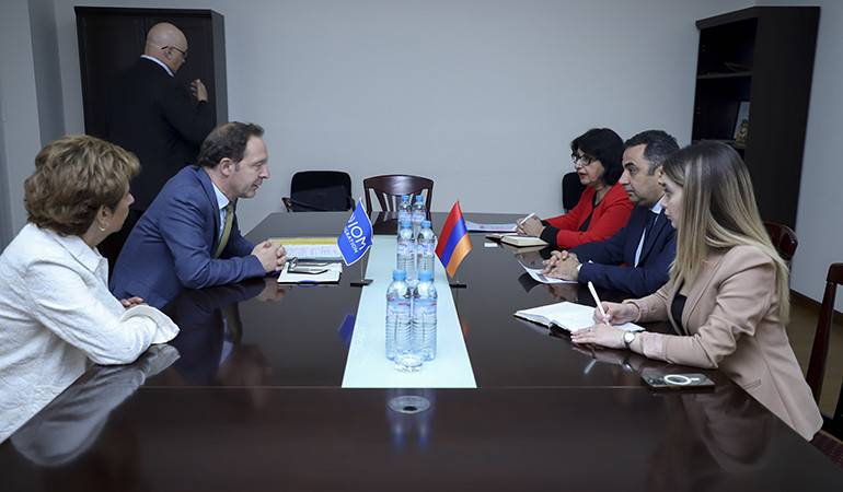 Deputy Foreign Minister Vahe Gevorgyan received the Regional Director of the International Organization for Migration Manfred Profazi