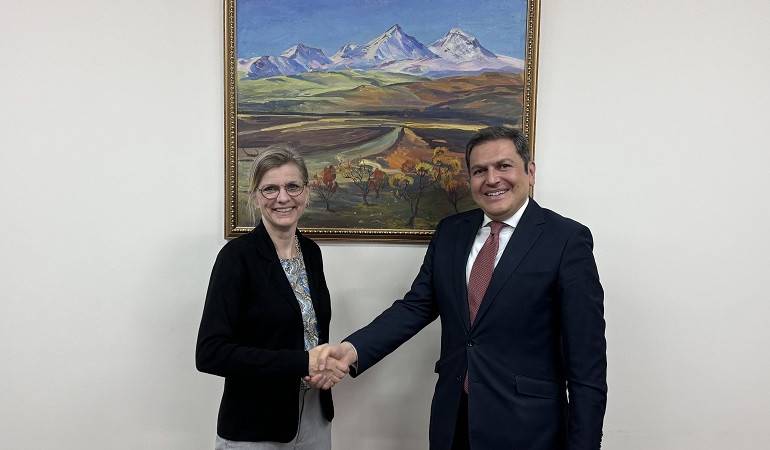 ՀՀ ԱԳ նախարարի տեղակալն ընդունել է Շվեդիայի ԱԳ նախարարության միջազգային զարգացման համագործակցության հարցերով գլխավոր տնօրենին