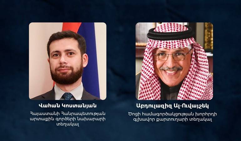 Встреча заместителя МИД Армении с заместителем генсека ССАГПЗ