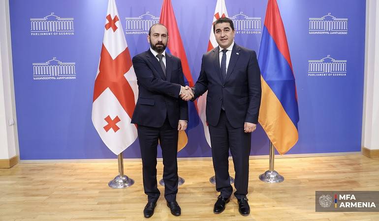 ՀՀ ԱԳ նախարարի հանդիպումը Վրաստանի խորհրդարանի նախագահի հետ