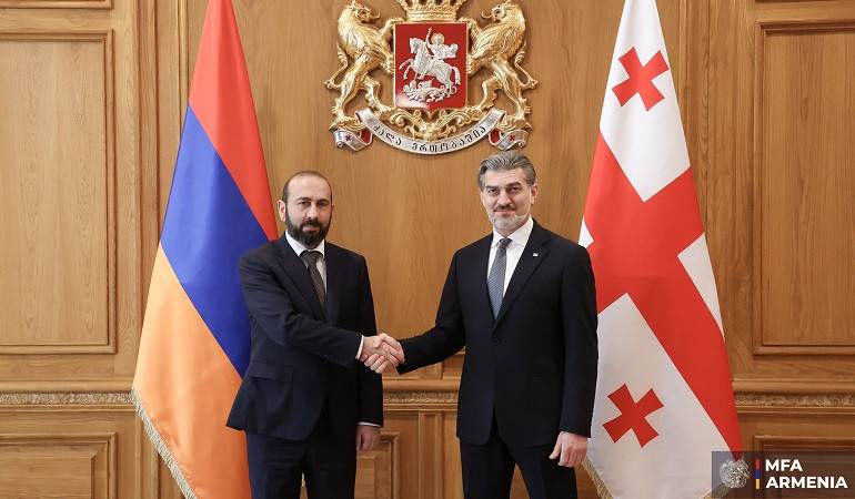 ՀՀ ԱԳ նախարարի հանդիպումը Վրաստանի նախագահի հետ