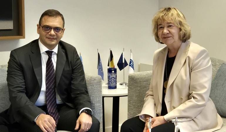 Meeting of Deputy Foreign Minister of Armenia Robert Abisoghomonyan with Director General of the Ministry of Foreign Affairs of Belgium Véronique Petit