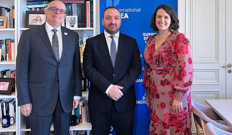 Meeting of the Secretary General of the Foreign the Ministry of Armenia with the representatives of the International IDEA intergovernmental organisation of Sweden